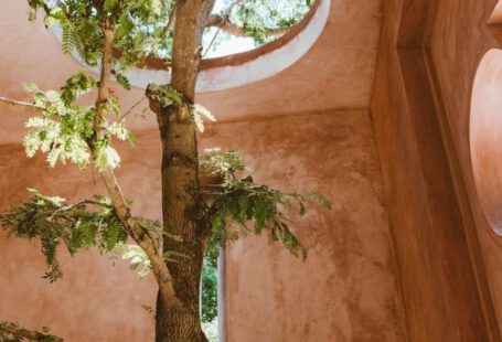 Adaptability - Tree Growing in a Decorative Brown Interior